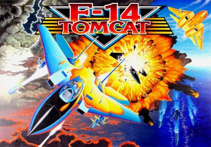 F-14 Tomcat